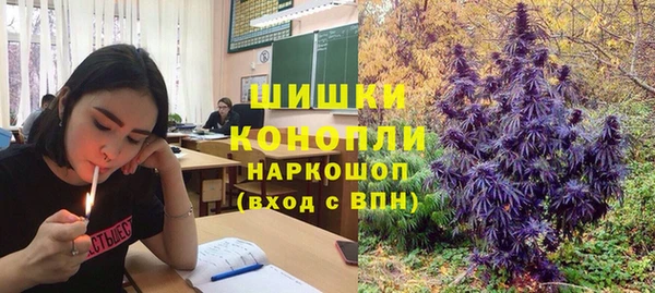 apvp Алзамай