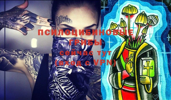 ПСИЛОЦИБИНОВЫЕ ГРИБЫ Алексин