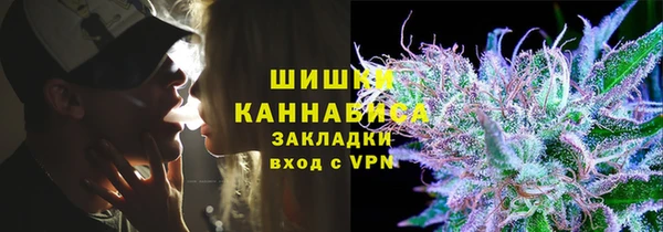 apvp Алзамай