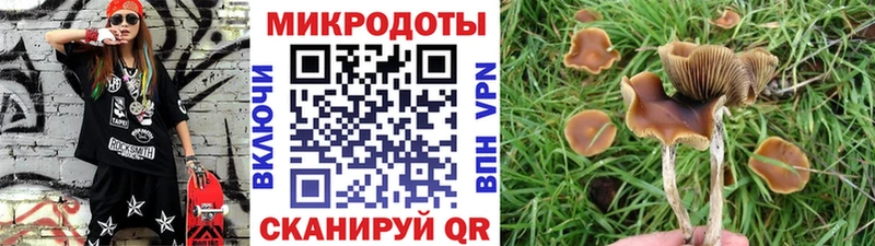 Галлюциногенные грибы мицелий  ОМГ ОМГ ссылка  Фатеж 